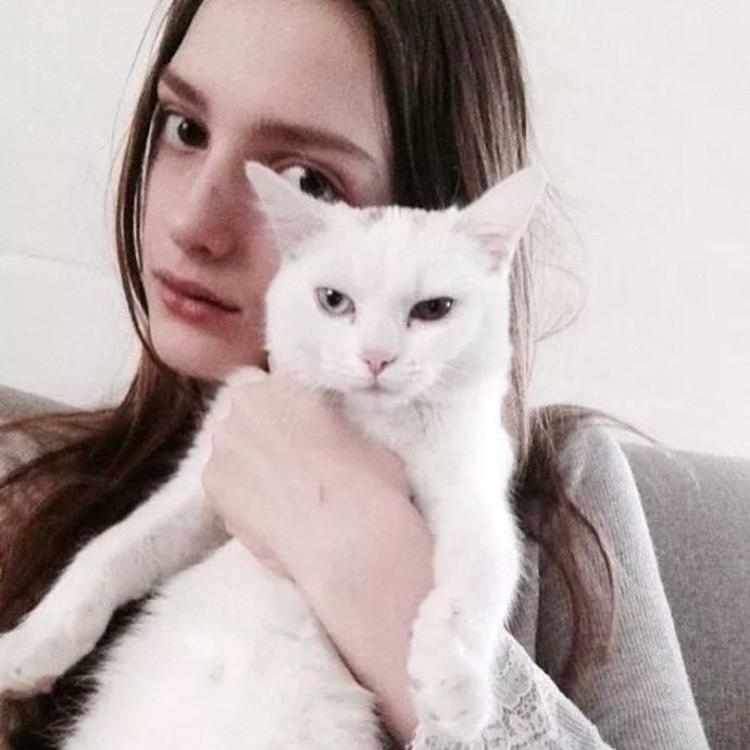 transfer009@Dashiell